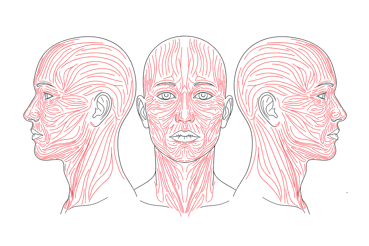 Anatomía de la Tensión: La Guía para Orientar Heridas y Lograr Credibilidad Biomecánica en FX.