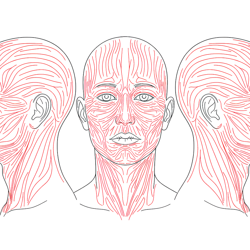 Anatomy of Tension: The Guide to Orienting Wounds and Achieving Biomechanical Credibility in Fractures.