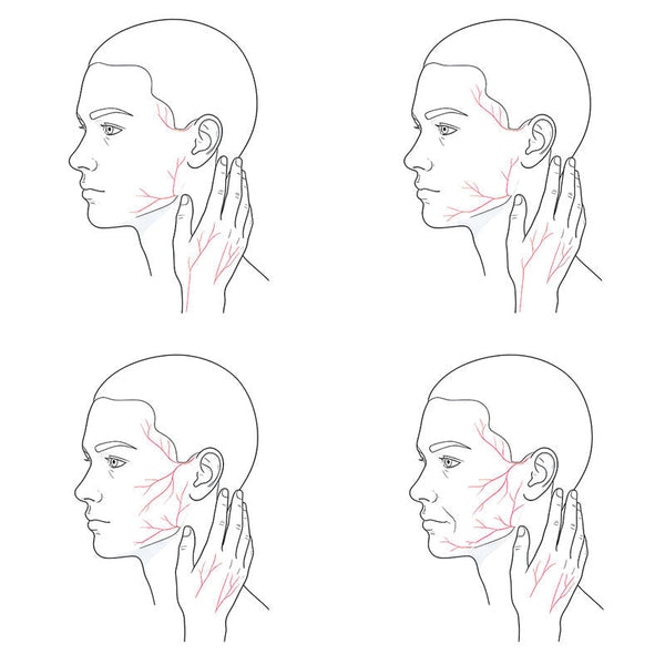 The Vein Map: Blood Irrigation and Chromatism according to Age